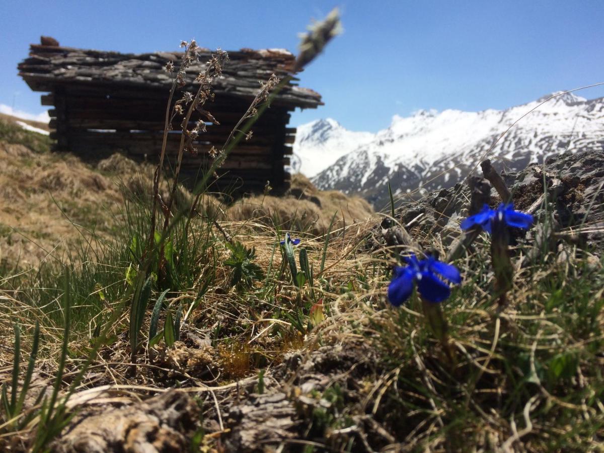 Hotel Capetta Avers Bagian luar foto