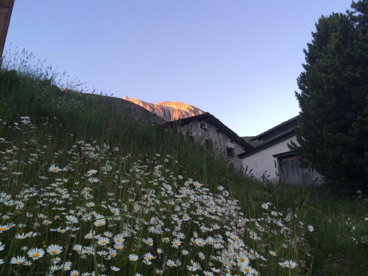 Hotel Capetta Avers Bagian luar foto